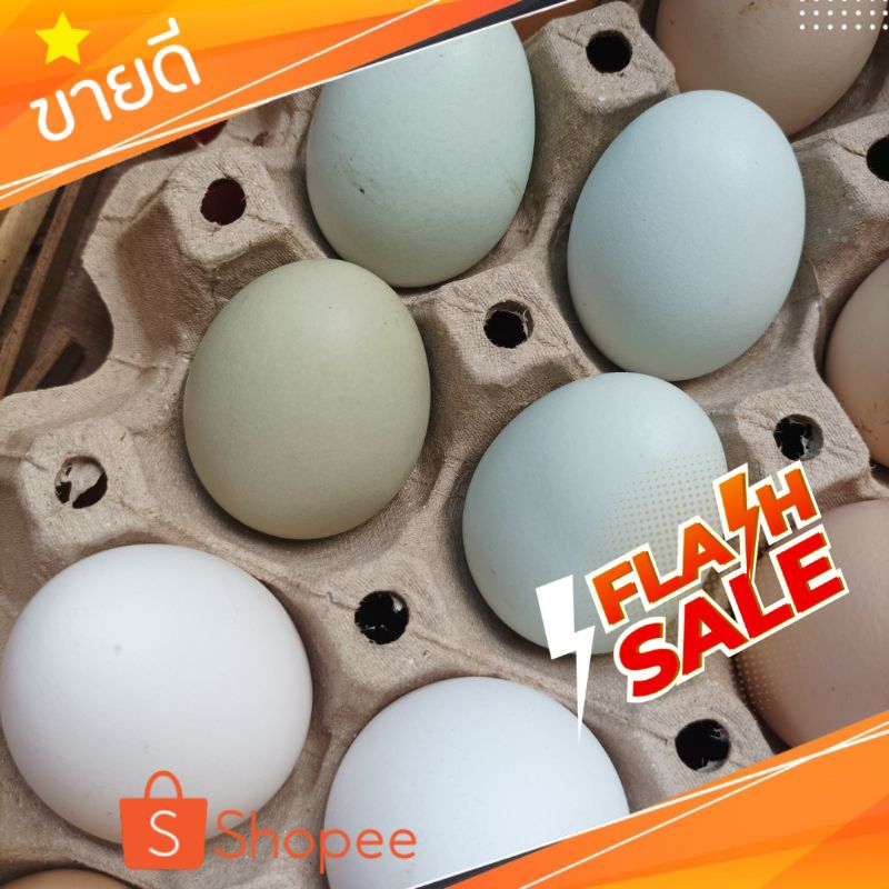 ชุดไข่เชื้อ Easter eggs 1 ชุด 5 ฟอง  คละสี🐓🍳💪🏻