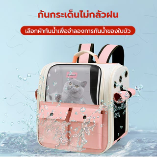 กระเป๋าแมว 8KGใบใหญ่มาก พับเก็บได้ ระบายอากาศได้ กระเป๋าเป้เดินทางกลางแจ้งระบายอากาศสำหรับแมว กระเป๋าหมา