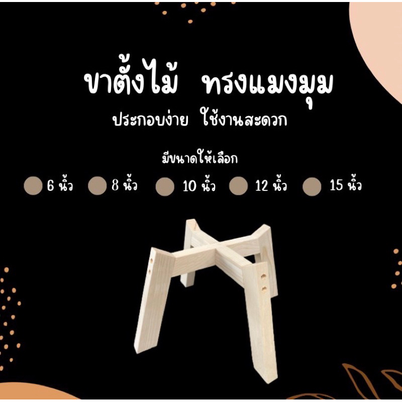ขาตั้งต้นไม้ ทรงขาตั้งแมงมุม ขนาด 6 นิ้ว 8 นิ้ว 10 นิ้ว 12 นิ้ว 15 นิ้ว