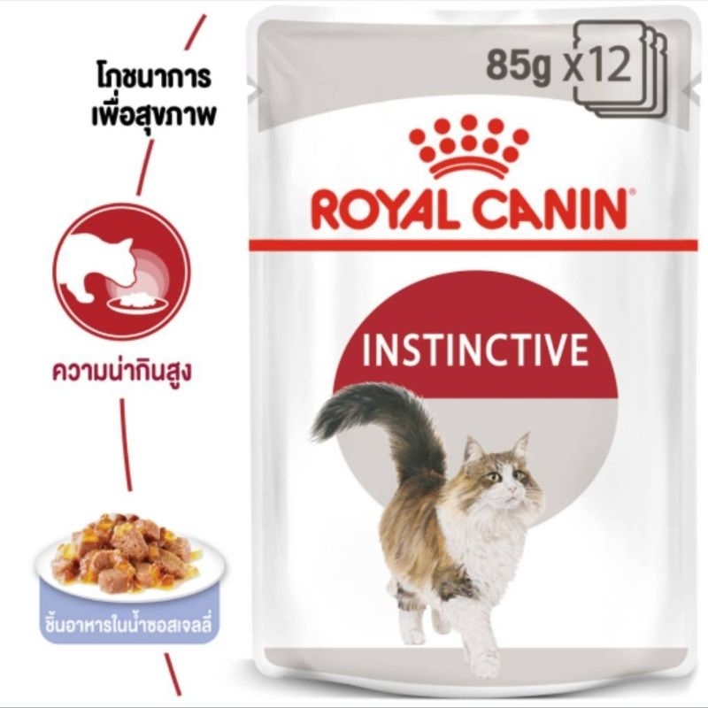 ROYAY CANIN  อาหารแมวโตแบบเปียกเยลลี่ 12ซอง สำหรับแมวโต