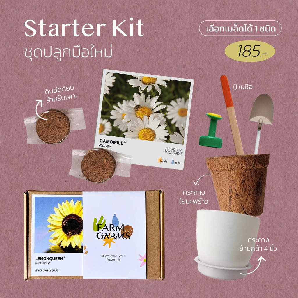 Starter Kit - ชุดปลูกเริ่มต้น มือใหม่ก็ปลูกได้🌱(เหมาะปลูกเอง)