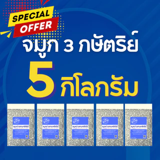 จมูกข้าวไรซ์เบอร์รี่ จมูกกล้องแดง จมูกกล้องเหลือง จมูกข้าว ปลายข้าวสาร ราคาถูกที่สุด 5 กก ตรา Good Rice by Glory Rice