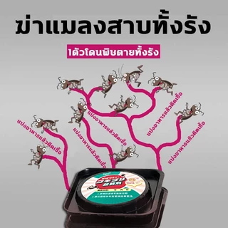 🔥Daric เจลกำจัดแมลงสาบ ยาฆ่าแมลงสาบ เหยื่อล่อแมลงสาบ ที่ดักแมลงสาบ กำจัดแมลงสาบ ตายยกรัง ออกฤทธิ์ต่อเนื่อง ใช้งานง่าย