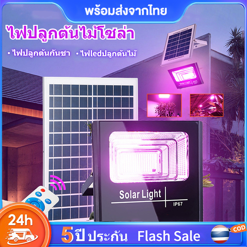 ไฟปลูกต้นไม้โซล่าเซลล์ 300W แสงสีม่วง ชาร์จพลังงานแสงอาทิตย์ LED ไฟปลูกพืช led grow light เหมาะสำหรับพืชทุกชนิด