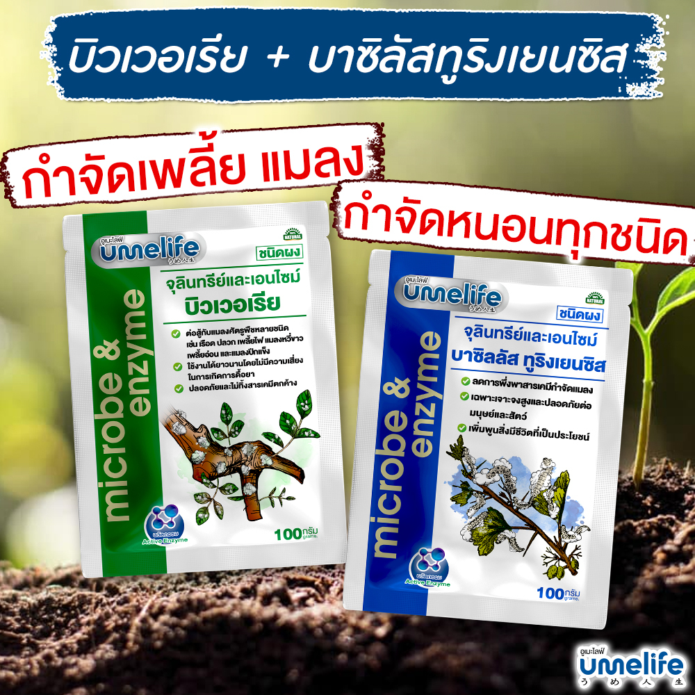 อูเมะไลฟ์ บิวเวอเรีย + อูเมะไลฟ์ บาซิลัส ทูริงเยนซิส อย่างละ 1 ซอง กำจัดแมลง กำจัดหนอน กำจัดเพลี้ย