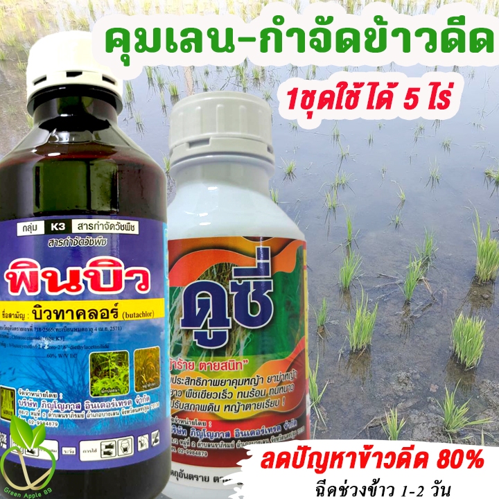 นอร์ดิก คุมเลน + คุมข้าวดีด 1 ชุดใช้ได้ 5 ไร่  เคลียร์ข้าวดีด 80% รากข้าวเติบโตดี บิวทาคลอร์ กำจัดข้าวดีด ข้าวดีดเด้ง