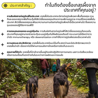 ยอดขาย #1 ในประเทศ เกสรผึ้งโรยอาหารหมาแมว แก้แพ้ เสริมภูมิ Organic Bella's Bites Bee Pollen for Pets