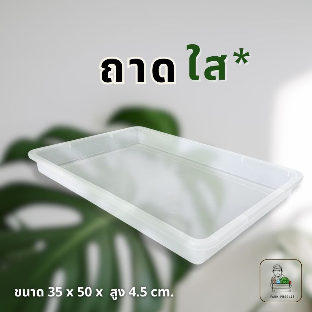 ถาดใส ถาดพลาสติกหนา ถาดรองอเนกประสงค์ (ส่งไว)