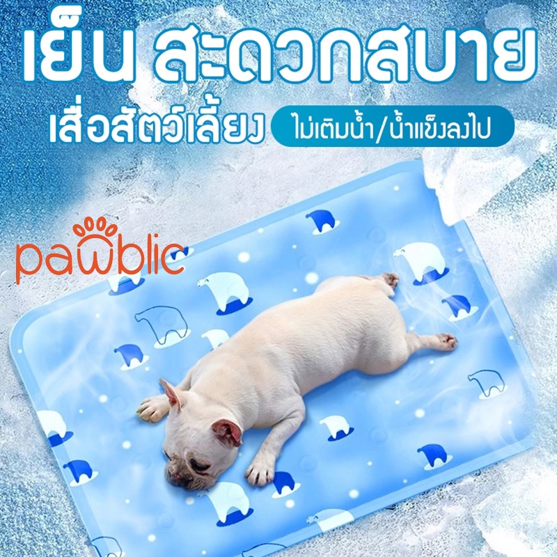 Pawblic แผ่นเจลเย็นแมว ที่นอนเจลเย็น แผ่นเจลเย็นแมวสุนัข 30*40/40x50/50x60/60x90 ซม