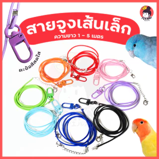สายจูงนกแก้ว ตะข้อสี ยาว 1-5 เมตร สีพาสเทล แบบยืดหยุ่นได้ สายฝึกนกบิน สายคล้องขานกแก้ว นกแก้ว ป้องกันนกหลุด