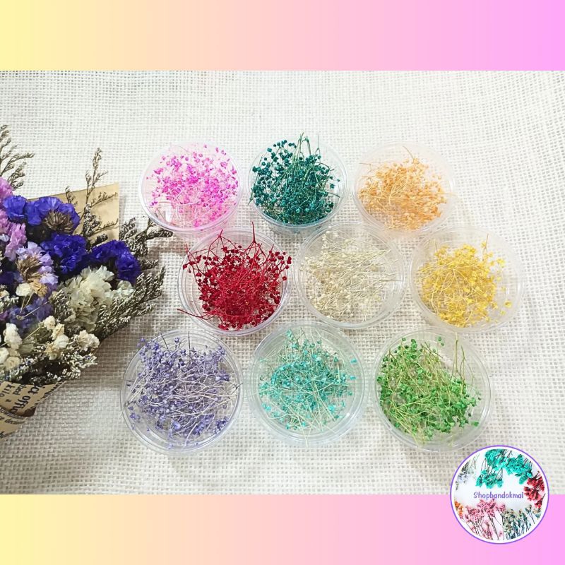 ดอกยิปโซดอยดอกไม้แห้งใส่กระปุกแบ่งขายมีหลายสีสินค้าพร้อมส่ง