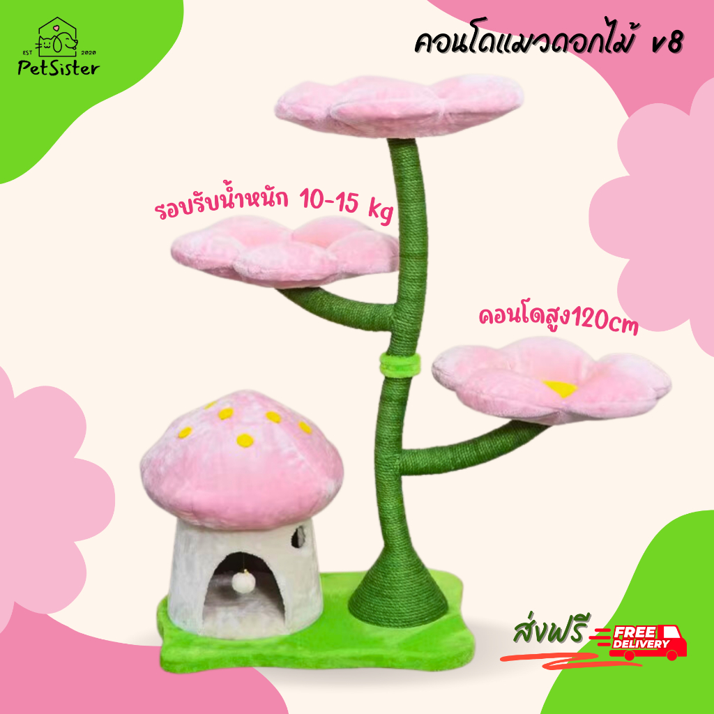 🌸คอนโดแมวดอกไม้ สามดอกสีชมพู แข็งแรงมาก v8 x Petsister🌺