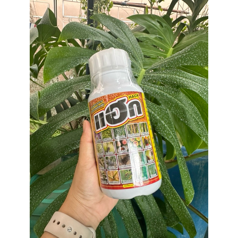 แฮก Hack สารเพิ่มประสิทธิภาพ สารกำจัดโรคพืช🥬🌶️