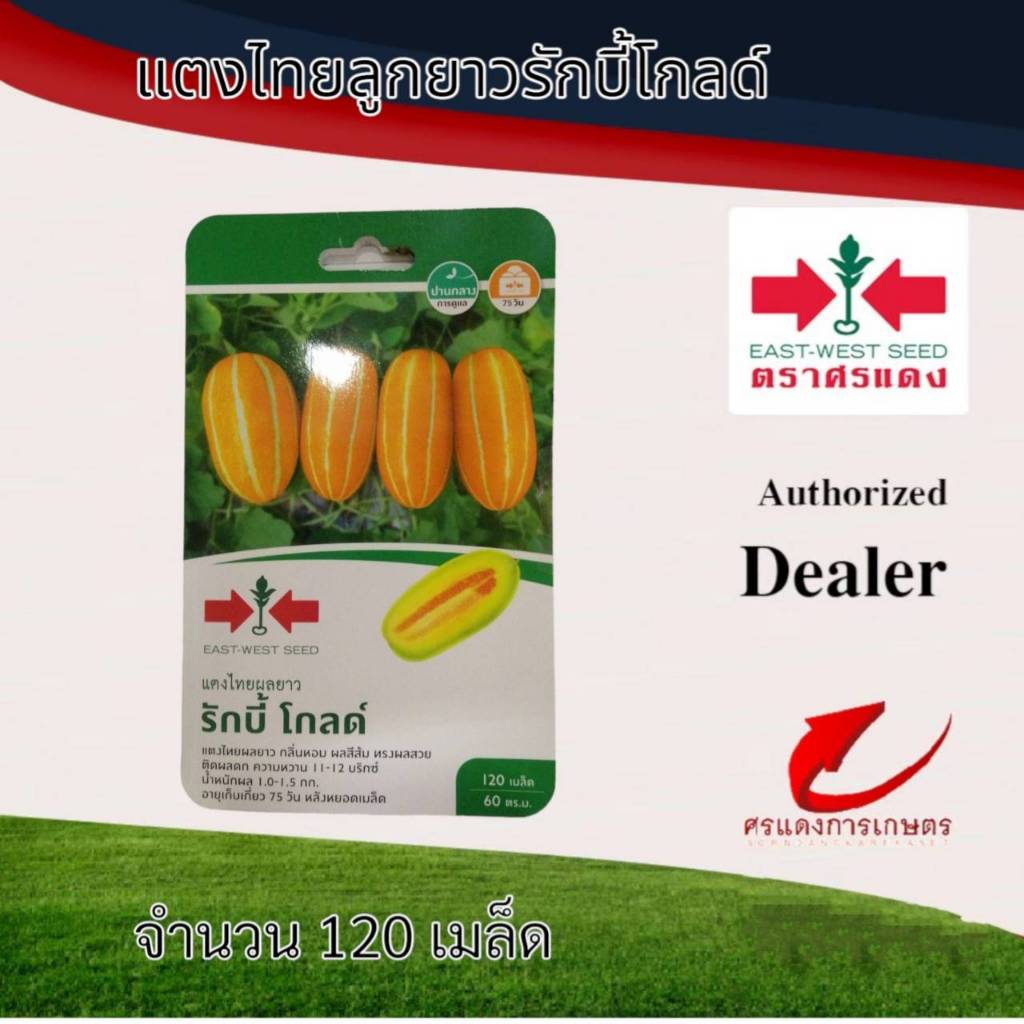 ผักซองศรแดงแตงไทยลูกยาวรักบี้โกลด์ – โปรปัง