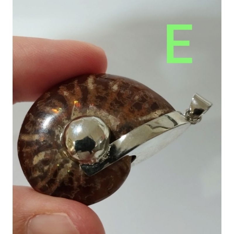 Ammonite pendant จี้ แอมโมไนต์เต็มตัว หอย แอมโมไนต์ หอยล้านปี จี้หอยแอมโมไนต์ คตหอย ใส่พกติดตัว เพิ่มพลัง