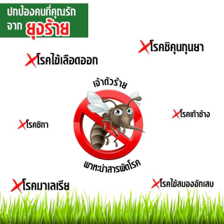 ( 10-12 ซอง/กล่อง) ธูปกันยุงสมุนไพรธรรมชาติ ตรามังกรยากันยุง จำนวน 30 ก้าน กันยุงได้100% เกรด A