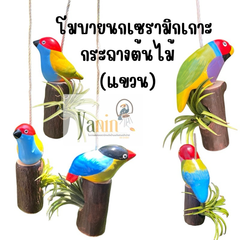 กระถางนกเซรามิก แขวนเกาะขอนไม้ กระถางต้นไม้น่ารัก (พร้อมส่ง)แต่งบ้าน