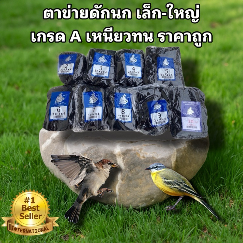 อวนดักนก ดางดักนก ตาข่ายดักนก เรด้าดักนก
