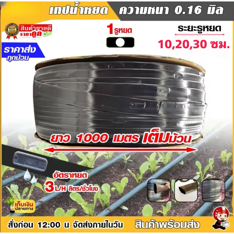 เทปน้ำหยด ระยะห่าง 10ซม. 20ซม. 30ซม. รูเดี่ยว ยาว1,000เมตร หนา0.16มม. คิงคอง น้ำหยด เทปกลม ไก่แจ้ ระ