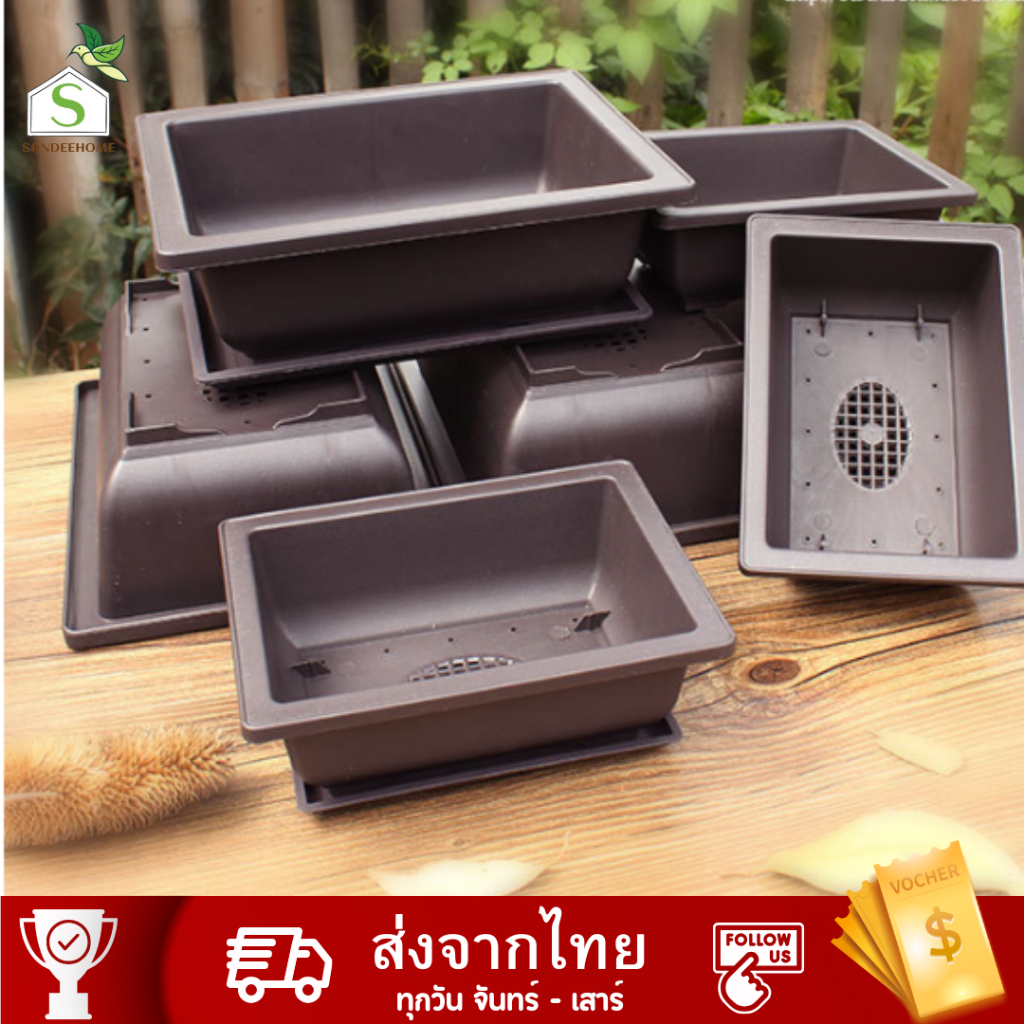 กระถางบอนไซ 6ขนาด กระถางพลาสติก ปลูกไม้โขด กระบองเพชร ไม้อวบน้ำ Cactus&Succulent