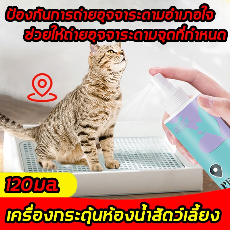 สเปรย์ฝึกสุนัขขับถ่าย ฝึกแมวขับถ่าย สูตรเข้มข้น ฝึกหมาและแมวขับถ่าย เพียงพ่น (เก็บเงินปลายทางได้ ส่งไว) ให้ฉี่ ห้ามฉี่