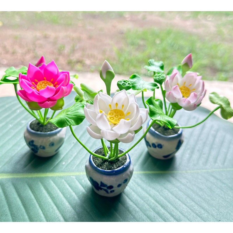 ดอกบัวดินปั้น ดอกบัวดินญี่ปุ่น บูชาพระ พร้อมกระถางราคา 39 บาท/ชิ้น