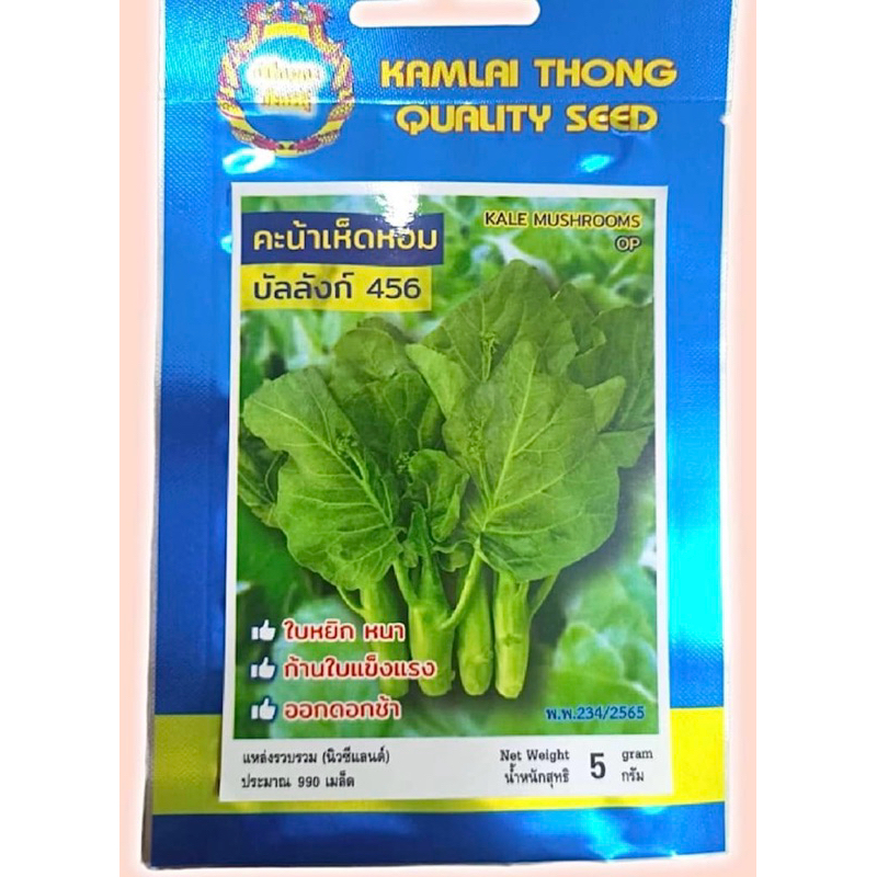 คะน้า คะน้าเห็ดหอม บัลลังก์456 (990 เมล็ด)