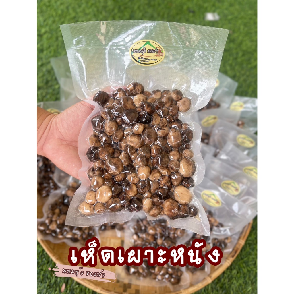 🍄เห็ดเผาะ/เห็ดถอก🍄เห็ดป่าแท้ธรรมชาติ อ่อน90% สินค้าของดี หายาก เป็นเห็ดหนังกลางฤดูถนอมไว้ต้มสุกแล้ว