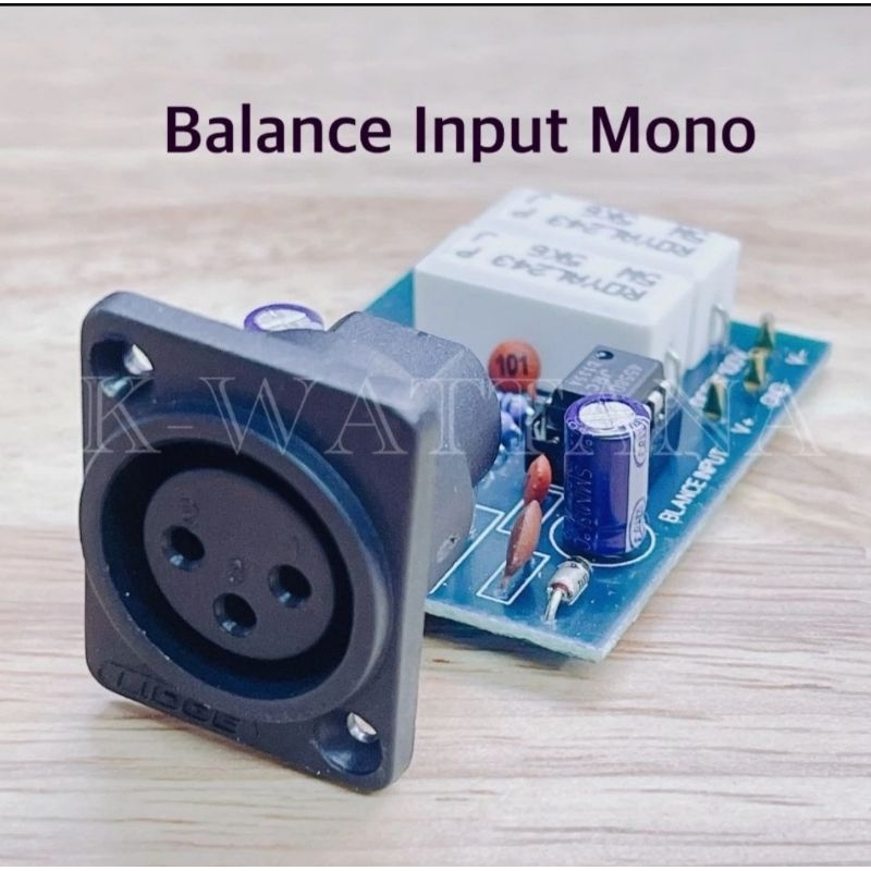 Balance Input บาร์ล้านอินพุท รุ่นโมโน จำนวน1แผ่น