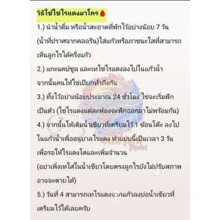 ไข่ไรแดงมาโคร พร้อมส่ง ฟักง่าย โตไว เลี้ยงด้วยน้ำเขียว