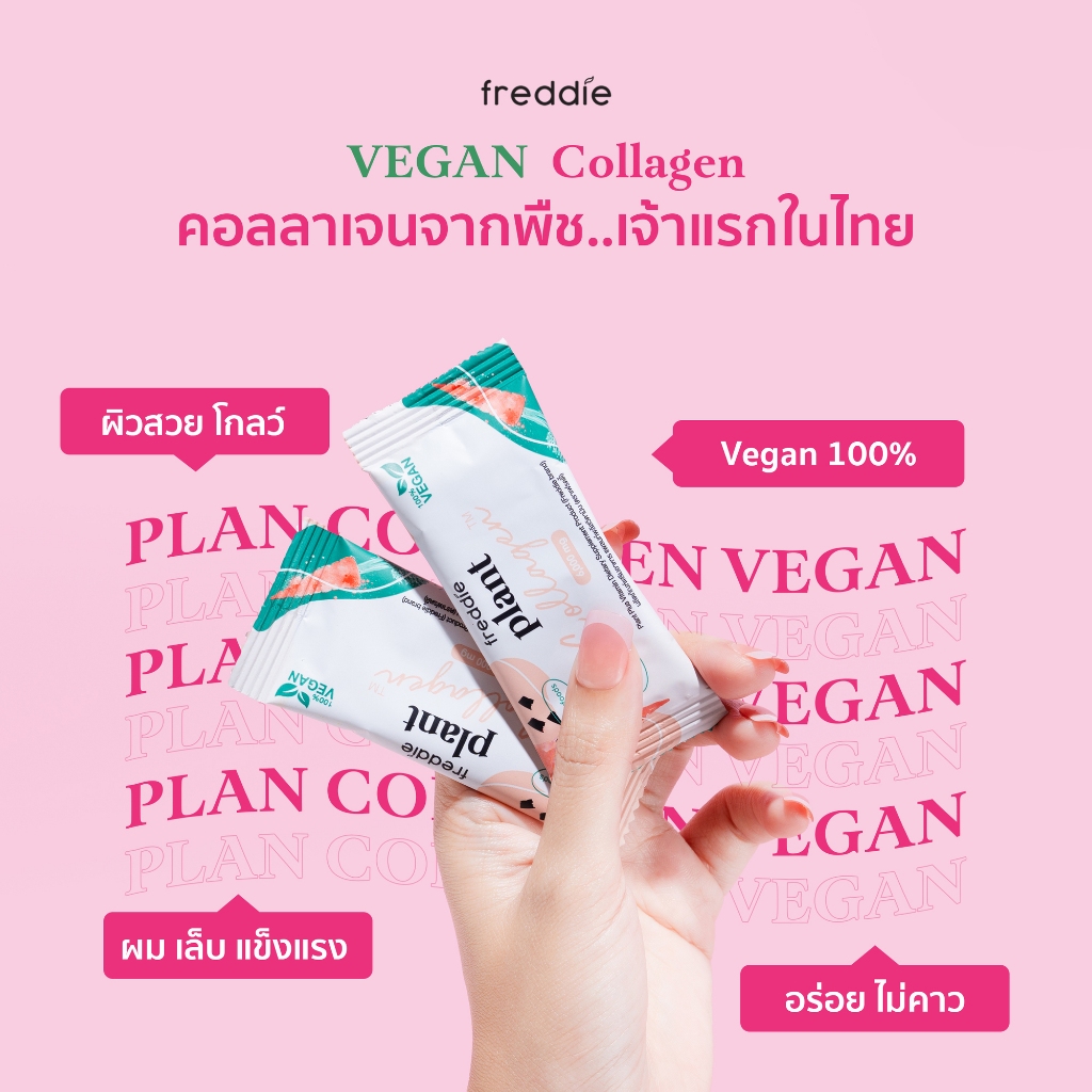 New Lot 1 กล่อง Freddie Plant Collagen เฟรดดี้ คอลลาเจนจากพืช vegan No Sugar วีแกน เจทานได้
