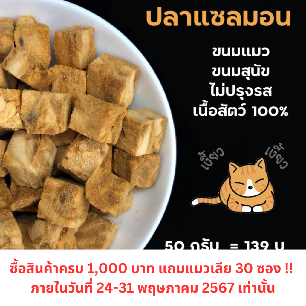ขนมน้องแมว ขนมน้องหมา ปลาแซลมอนเต๋าฟรีซดราย (Freeze Dried SalmonCube) อาหารแมว อาหารสุนัข อาหารเสริมแมว ฟู๊ดเกรด