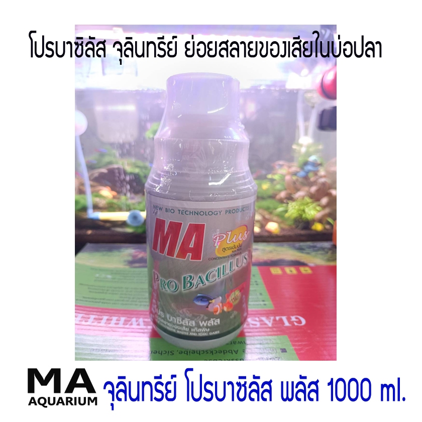 จุลินทรีย์ ขนาด 1000 ml. ช่วยย่อยของเสียในตู้ปลา บ่อปลา โปรบาซิลัส พลัส
