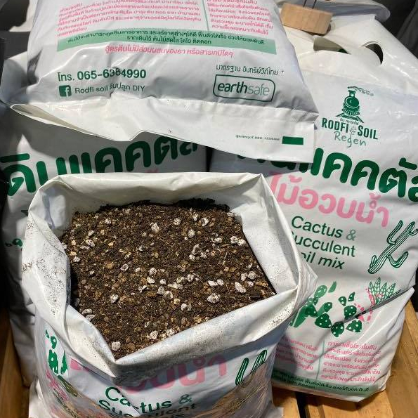 ดินแคคตัส 2L/10L ผสมใบก้ามปูหมักชีวภัณฑ์กำจัดเชื้อรา Perlite Vermiculite หินภูเขาไฟ เกรดพรีเมี่ยม อินทรีย์100%