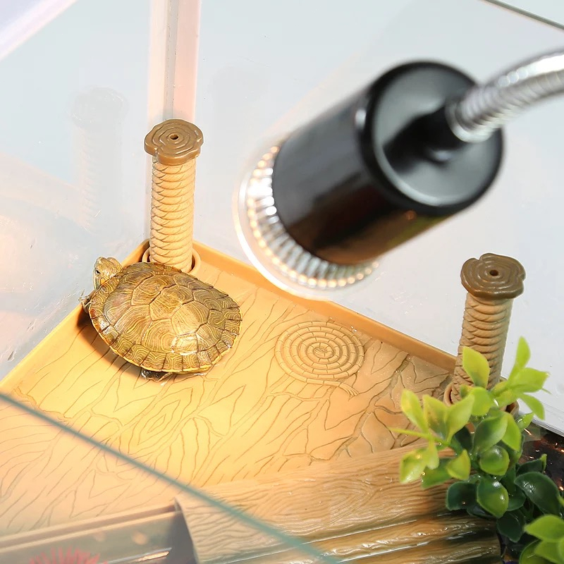 coralcoveshop ชุดขั้วหลอดไฟ E27 หลอดไฟให้ความร้อน UVA​/UVB​ สำหรับสัตว์เลื้อยคลาน 220v