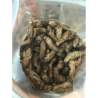 [ZC] สะดิ้ง&จิังหรีด อบแห้ง Dried Crickets ขนม&อาหารทานเล่นสำหรับหนูแฮมสเตอร์ ชูการ์ เม่นแคระ นก กิ้งก่า ฯลฯ