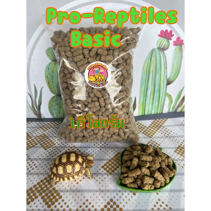 Pro-Repriles Basic Tortoise Food ขนาด 1 Kg. อาหารเต่าบก เม็ดใหญ่ สำหรับเต่าโต