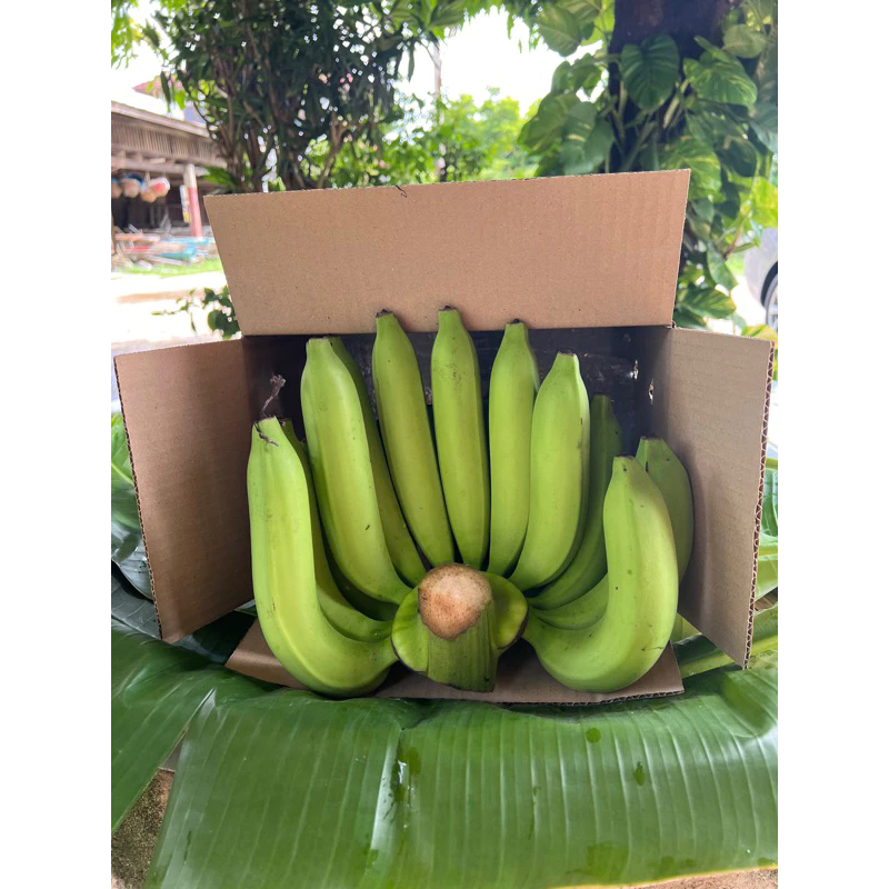 กล้วยหอมทอง,เนื้อเนียน ,นุ่ม,อร่อย,ใหญ่ ( L ) 12-14ลูก /หวี ตัดสด ( ตามออเดอร์)