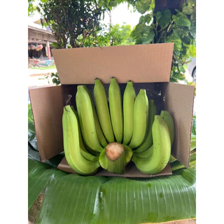 กล้วยหอมทอง,เนื้อเนียน ,นุ่ม,อร่อย,ใหญ่ ( L ) 12-14ลูก /หวี ตัดสด ( ตามออเดอร์)