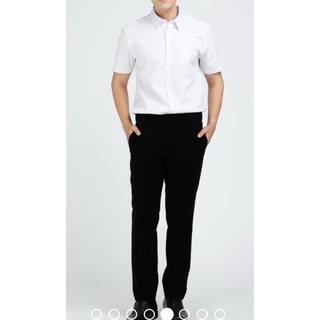 เสื้อเชิ๊ต Arrow สื้อคอปกแขนสั้น รวมสี รุ่น Smart