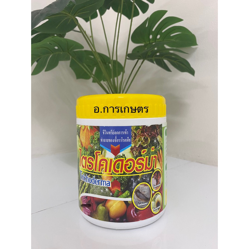 ใช้โค้ตพร้อมกันได้ ไตรโคเดอร์ม่า ขนาด 1กก. ชมรมเกษตรปลอดสารพิษ โรครากเน่า โคนเน่า ไฟท็อปเธอร่า