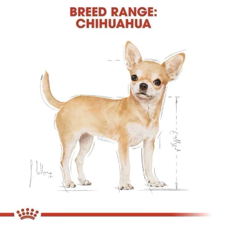 [1กล่อง12ซอง] ROYAL CANIN CHIHUAHUA Adult อาหารเปียก สุนัขพันธุ์ ชิวาว่า โต 85g*12ซอง