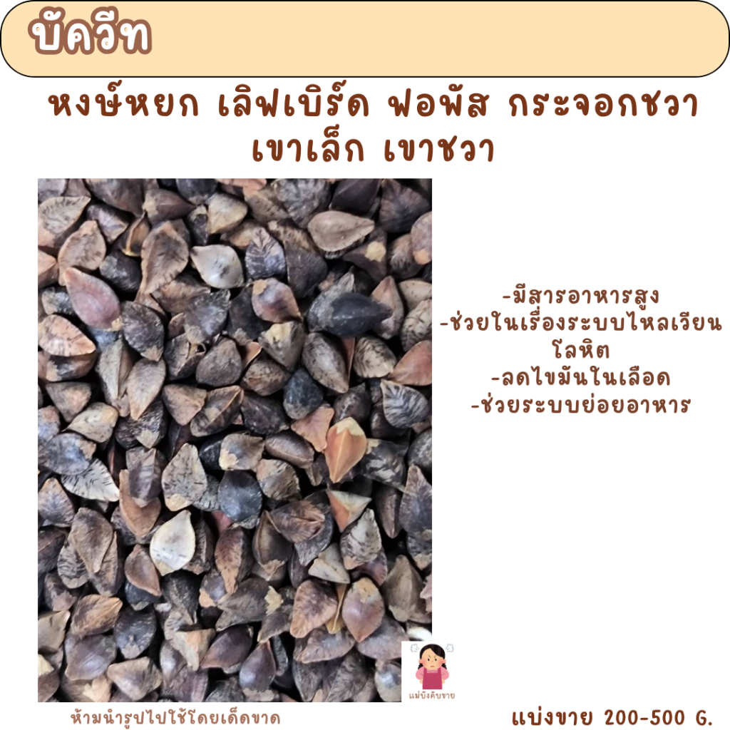บัควีท (แบ่งขาย 200-500G.) อาหารนกหงษ์หยก ฟอพัส เลิฟเบิร์ด ค็อกคาเทล