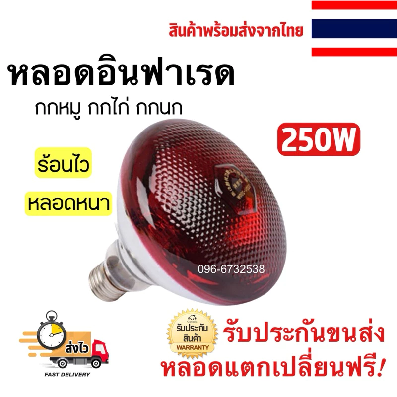หลอดงานไทย‼️ ให้ความอบอุ่นสัตว์เลี้ยง ยี่ห้อ HD LIGHTS แบบหนาพิเศษ 150 วัตต์ และ250วัตต์ ไฟกกสัตว์