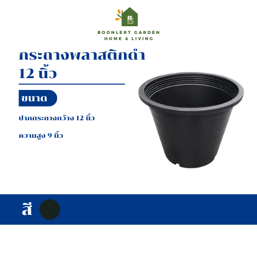 BL Garden กระถาง กระถางพลาสติกสีดำ ขนาด 12 นิ้ว