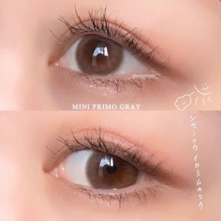 🔥 คอนแทคเลนส์ ✨ขนาดมินิ ✨Primo ✨Brown / Gray / Black (Kitty kawaii)