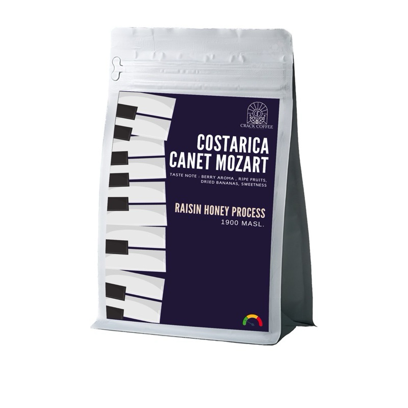 บดฟรี - COSTA RICA MOZART