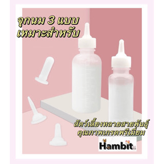 Hambit. ขวดนมสัตว์เลี้ยง เกรดพรีเมี่ยม กระรอก ขวดนมสุนัข แมว…