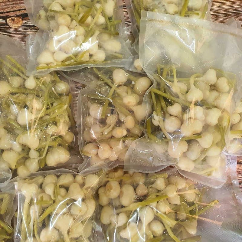 ผักดองเมือง-ผักดองมัดเขียวกรอบดองเค็ม(สูตรพะเยา)