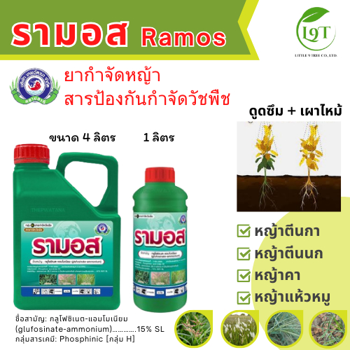 รามอส ขนาด 1 ลิตร & 4 ลิตร│เทพวัฒนา ตราปลาคู่│ยากำจัดหญ้า สารป้องกันกำจัดวัชพืช (หญ้าตีนกา หญ้าตีนนก